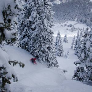 Meet your Posher, Patrick